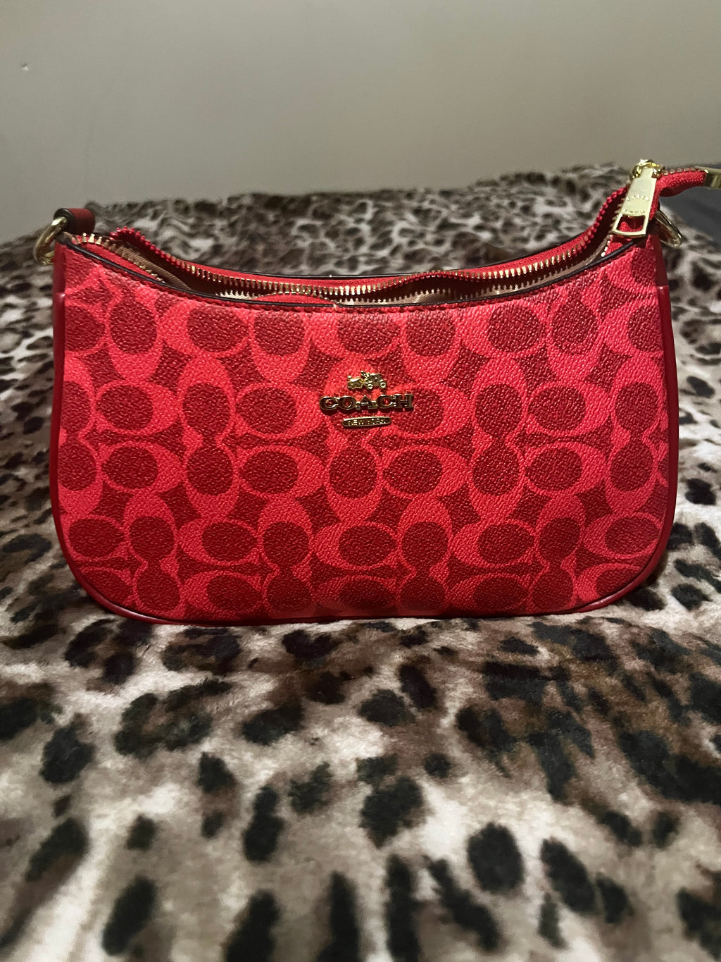 Red purse